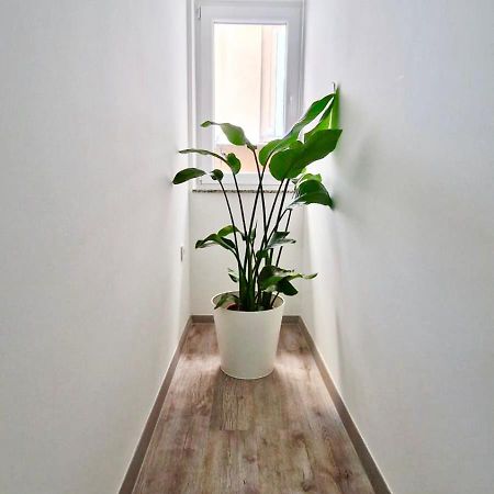 Ljubljana Central Cozy Apartment W Free Parking Exterior foto